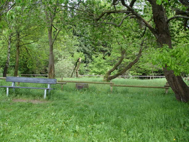 Blick vom Weg zum Friedhof