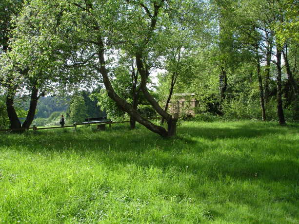 Alter j�discher Friedhof am Schwarzenberg Meinerzhagen